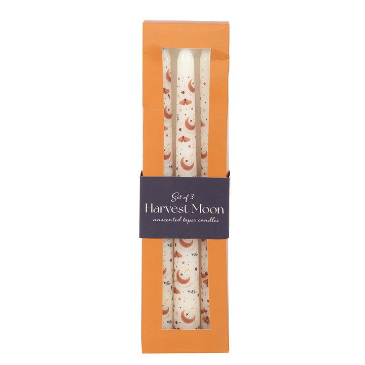 Harvest Moon Orange Taper Candles Set of 3