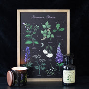 Gothic Poisonous Plants Print and Frame