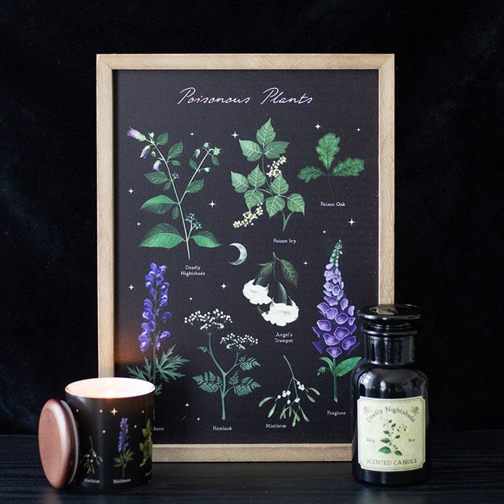 Gothic Poisonous Plants Print and Frame