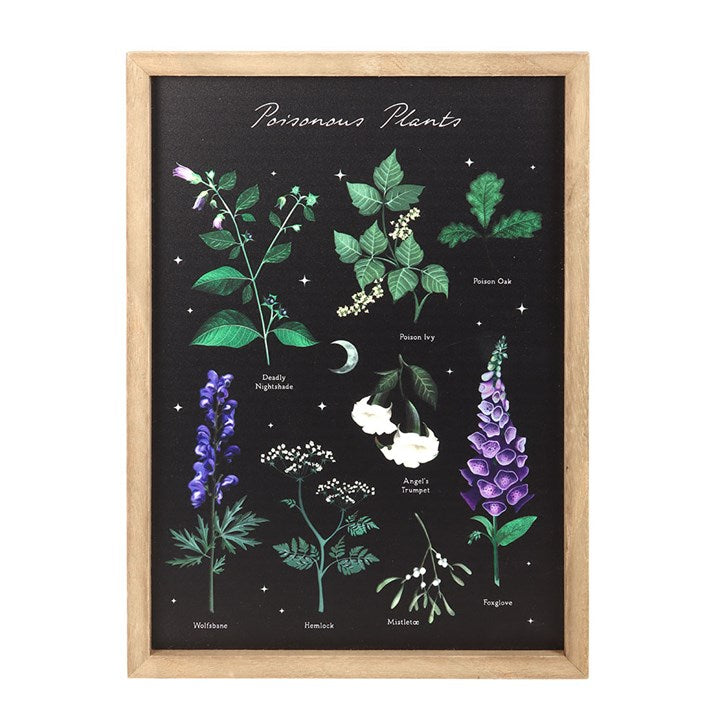 Gothic Poisonous Plants Print and Frame